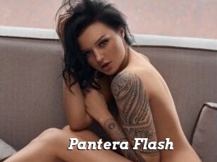 Pantera_Flash