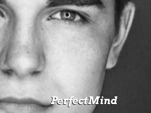 PerfectMind