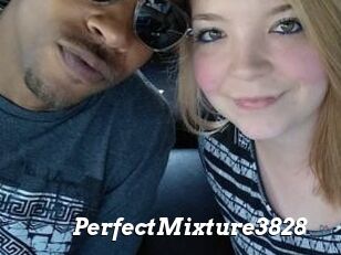PerfectMixture3828