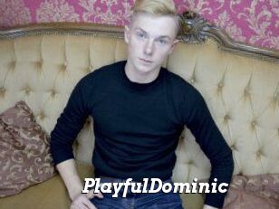 PlayfulDominic