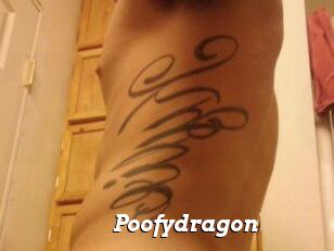 Poofydragon