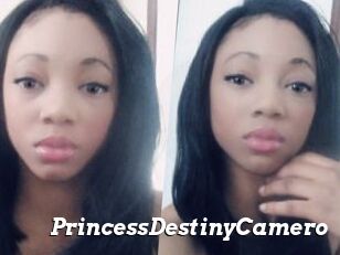 PrincessDestinyCamero