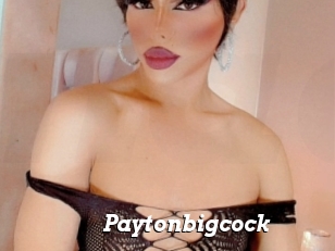 Paytonbigcock