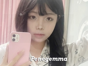 Penegemma