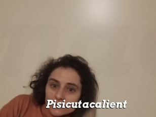 Pisicutacalient