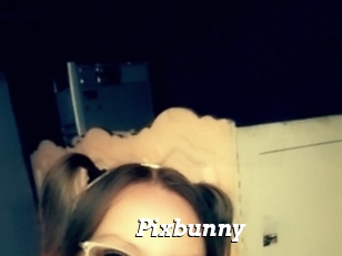 Pixbunny