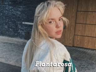 Plantarosa
