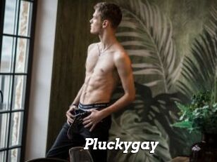 Pluckygay