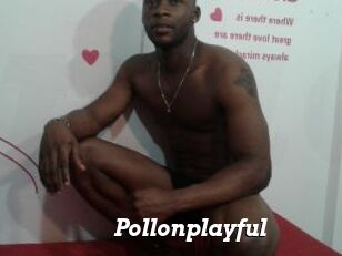 Pollonplayful