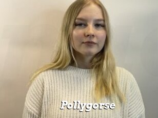 Pollygorse