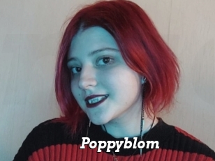Poppyblom
