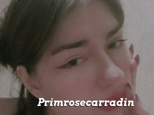 Primrosecarradin