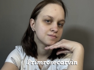 Primrosecarvin