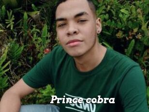 Prince_cobra