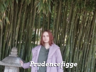 Prudencefigge