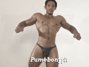 Pumebonyfit