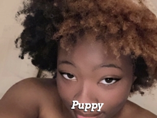 Puppy