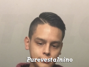 Purevestalnino