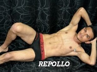 REPOLLO