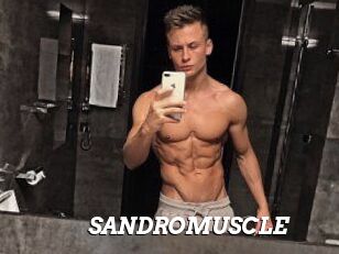 SANDRO_MUSCLE
