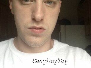SexyBoyToy