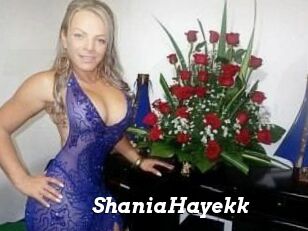 ShaniaHayekk