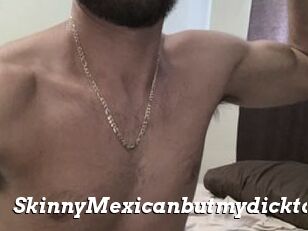 SkinnyMexicanbutmydicktall