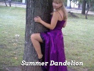 Summer_Dandelion