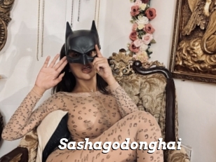 Sashagodonghai