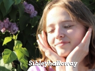 Sibleyhalloway