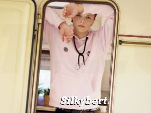 Silkybert