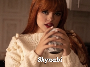 Skynabi