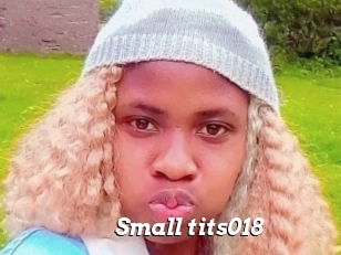 Small_tits018