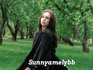 Sunnyamelybb