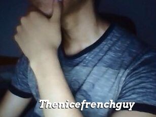 Thenicefrenchguy