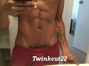 Twinkcut22