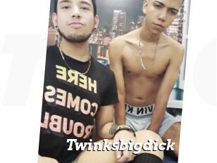 Twinksbigdick