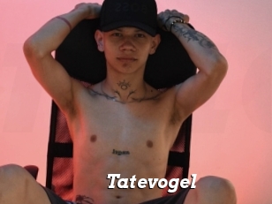Tatevogel