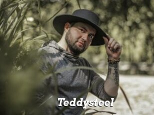 Teddysteel