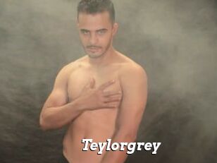 Teylorgrey