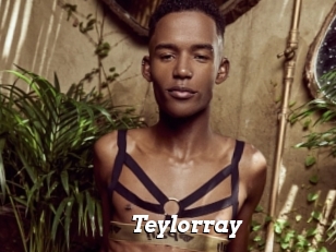 Teylorray