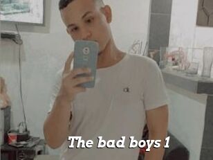 The_bad_boys_1