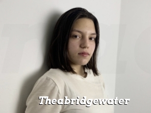 Theabridgewater