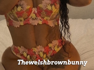 Thewelshbrownbunny