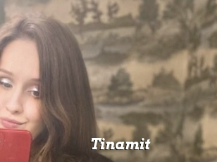 Tinamit