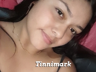Tinnimark