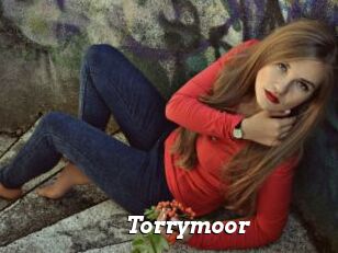 Torrymoor