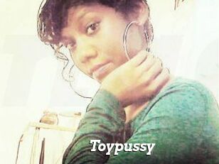 Toypussy
