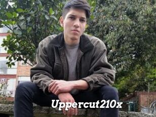 Uppercut210x