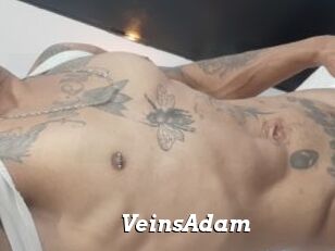 VeinsAdam